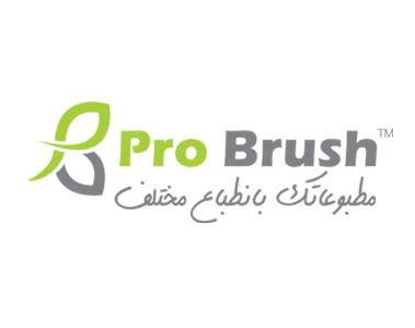 probrush-logo